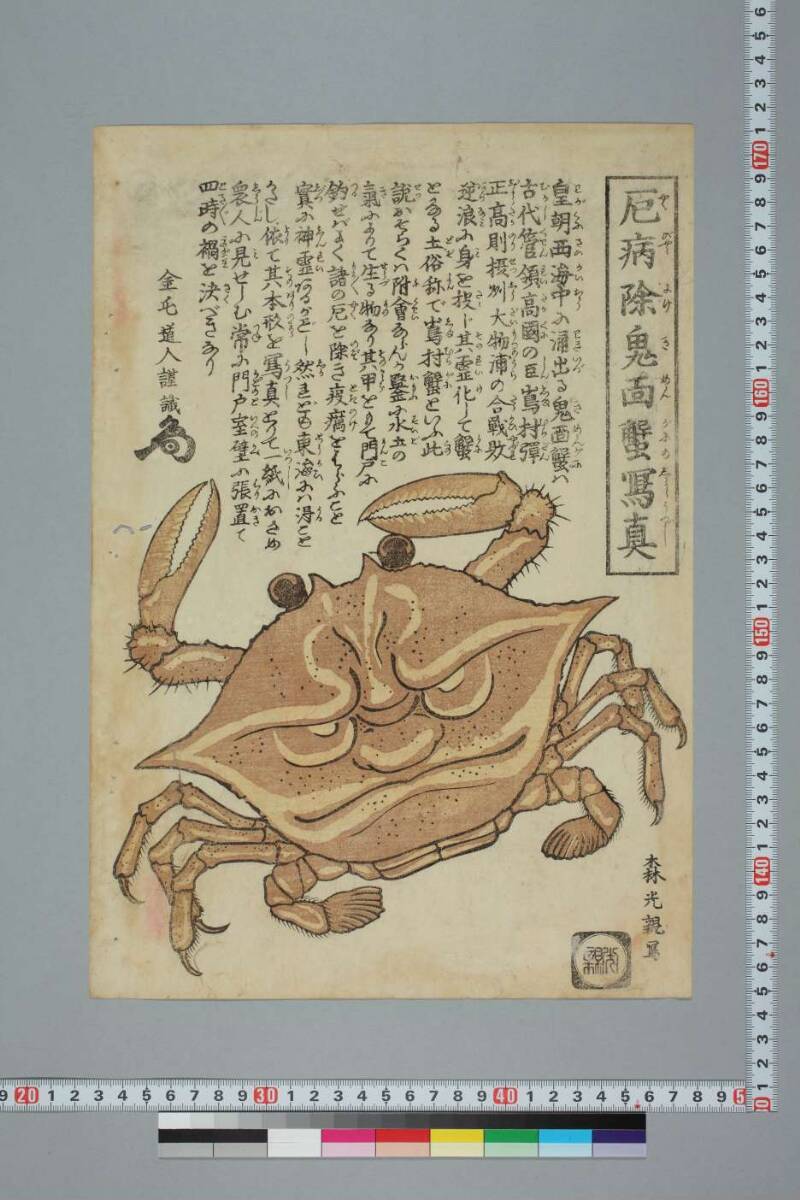 厄病除鬼面蟹冩真 - ページ 1