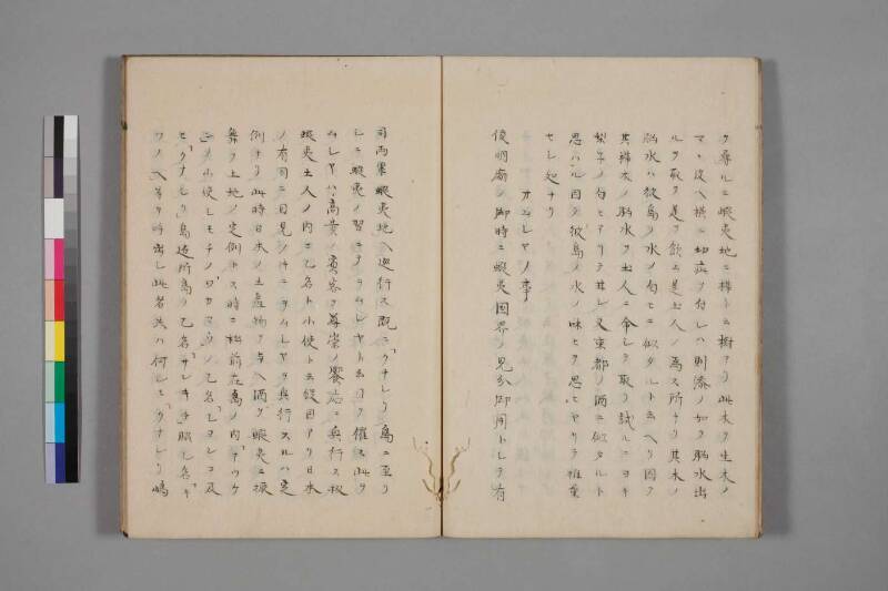 蝦夷草紙（国文学研究資料館） - ページ 33