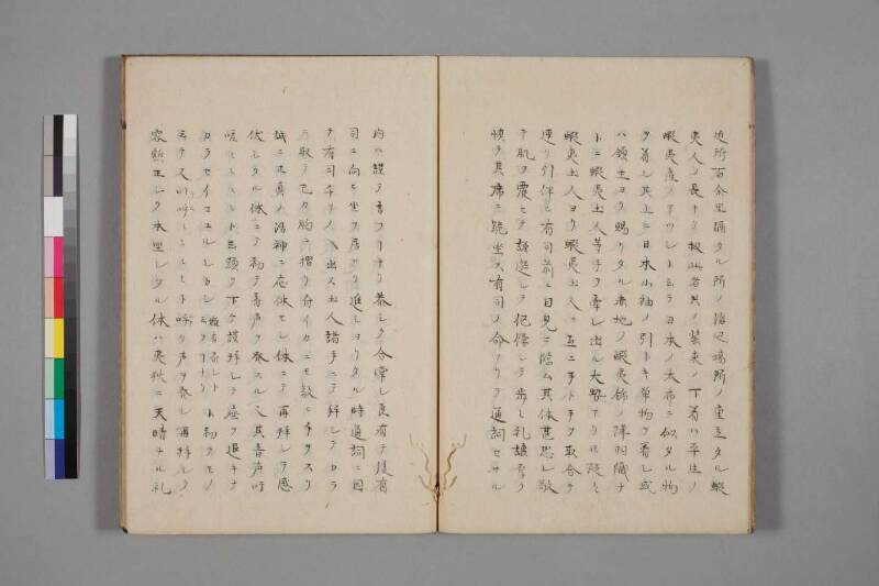 蝦夷草紙（国文学研究資料館） - ページ 34