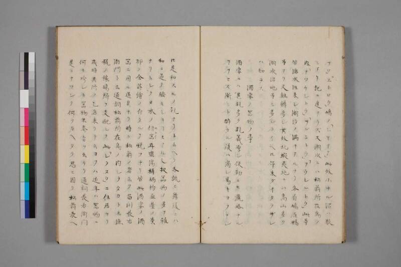 蝦夷草紙（国文学研究資料館） - ページ 38