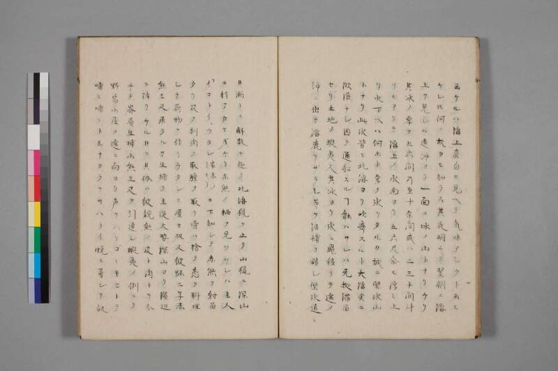 蝦夷草紙（国文学研究資料館） - ページ 41