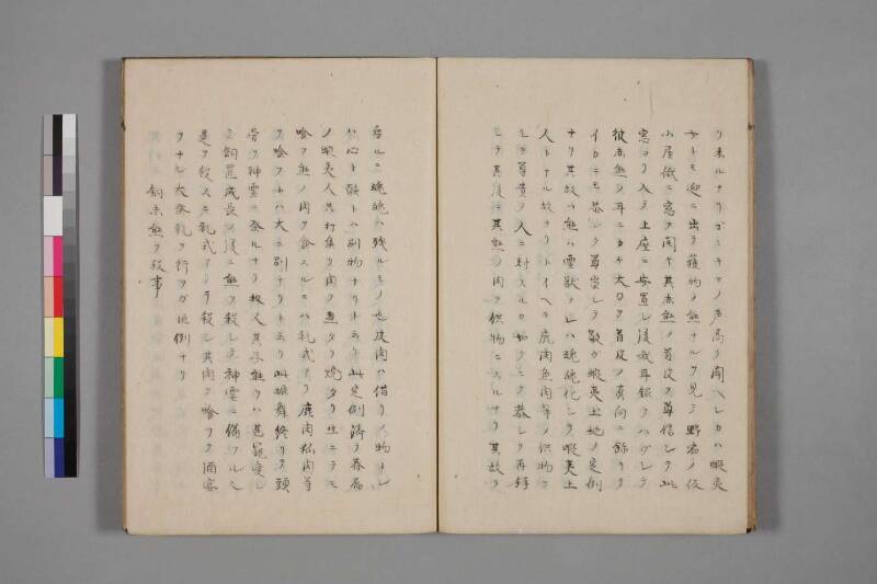 蝦夷草紙（国文学研究資料館） - ページ 42