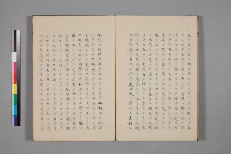 蝦夷草紙（国文学研究資料館） - ページ 45