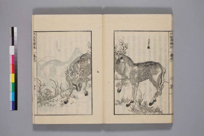 北蝦夷図説　巻1–4（国文学研究資料館） - ページ 32