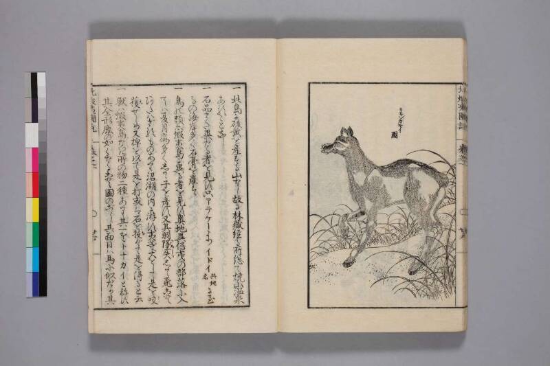 北蝦夷図説　巻1–4（国文学研究資料館） - ページ 33