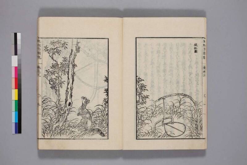 北蝦夷図説　巻1–4（国文学研究資料館） - ページ 70