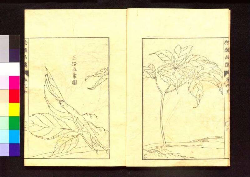 物類品隲 - ページ 153