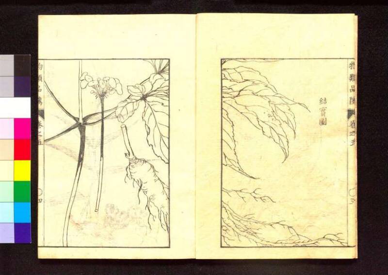 物類品隲 - ページ 154