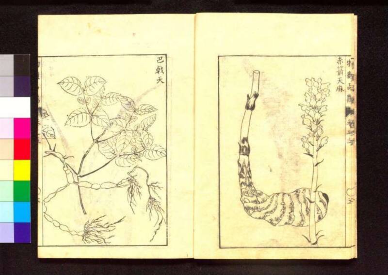 物類品隲 - ページ 156