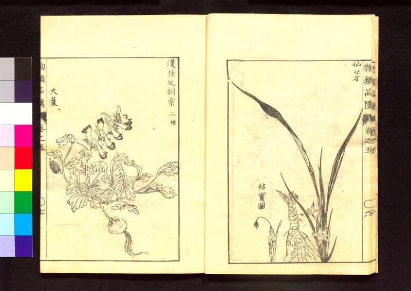 物類品隲 - ページ 157