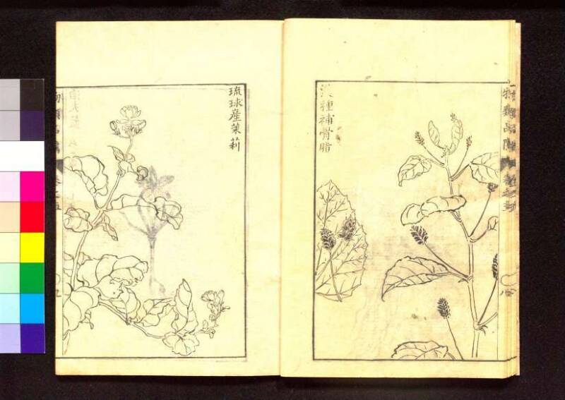 物類品隲 - ページ 159