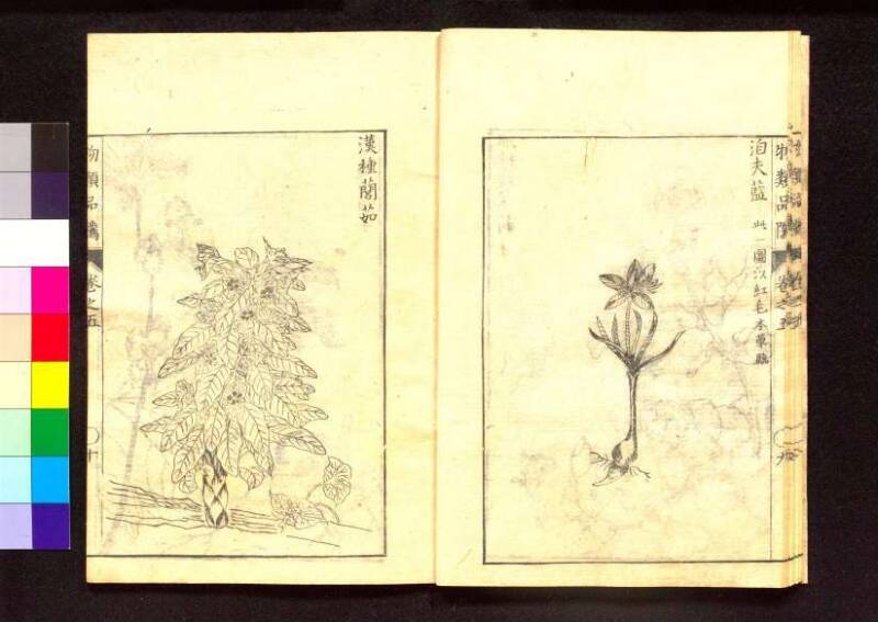 物類品隲 - ページ 160