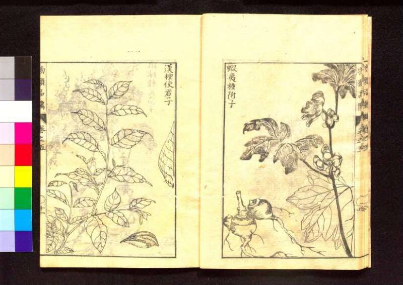 物類品隲 - ページ 161