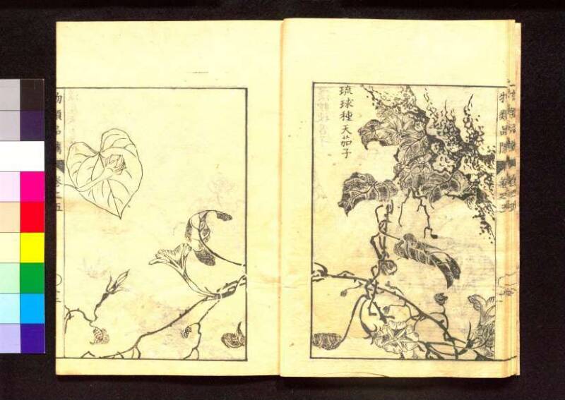 物類品隲 - ページ 162