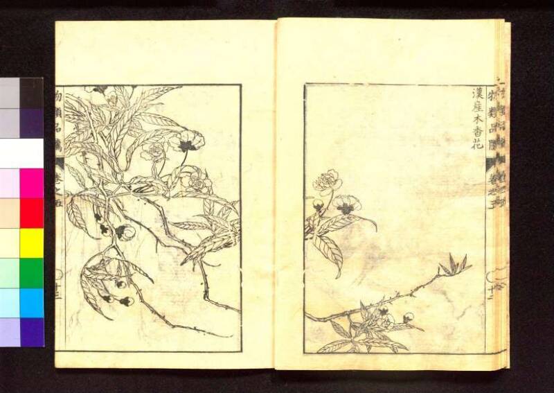 物類品隲 - ページ 163