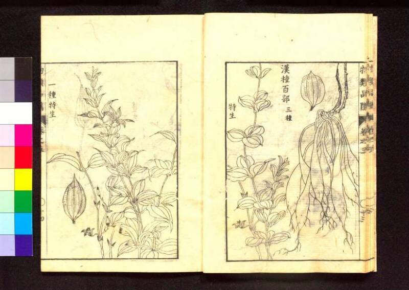 物類品隲 - ページ 164