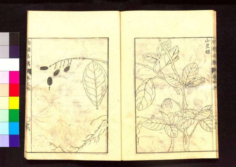 物類品隲 - ページ 166