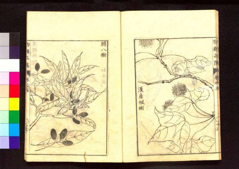 物類品隲 - ページ 167