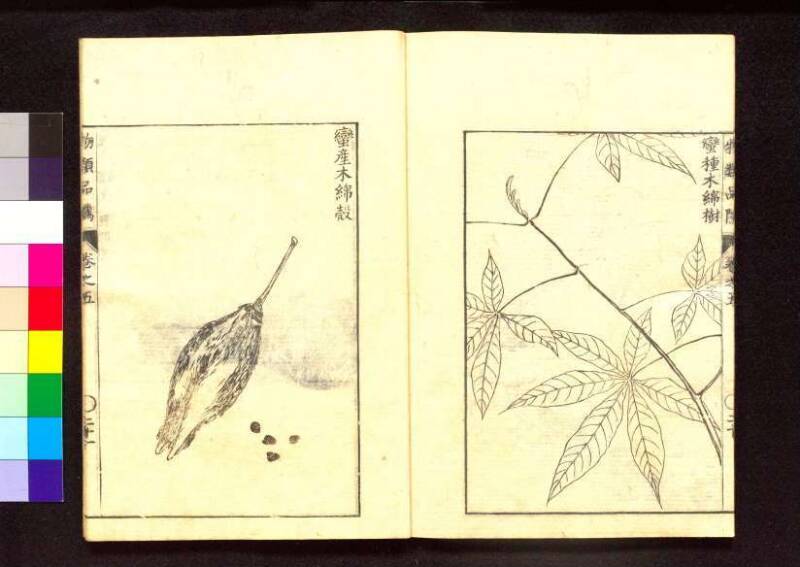 物類品隲 - ページ 171