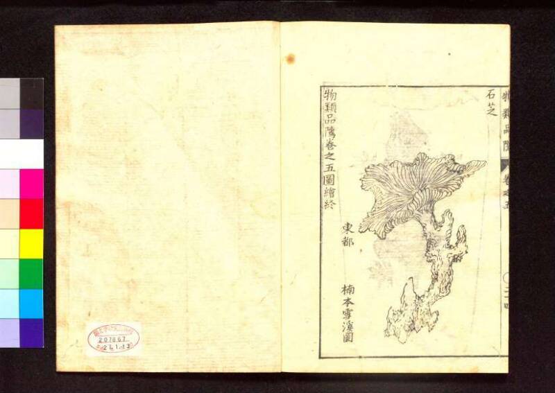 物類品隲 - ページ 175