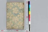 Satotsubamesugatanoinazuma