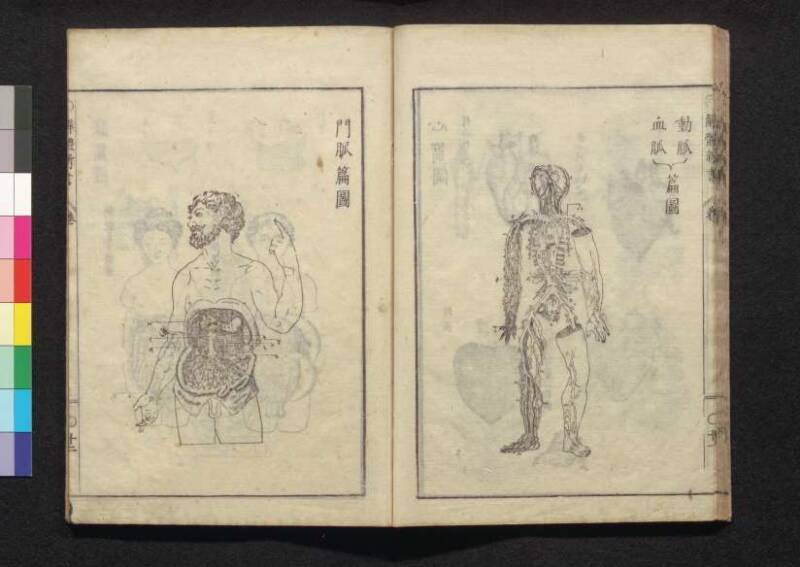 解体新書 - ページ 30