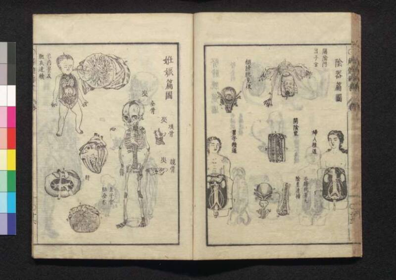 解体新書 - ページ 34