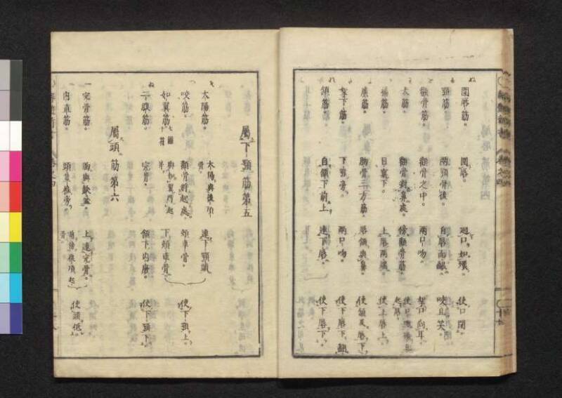 解体新書 - ページ 141