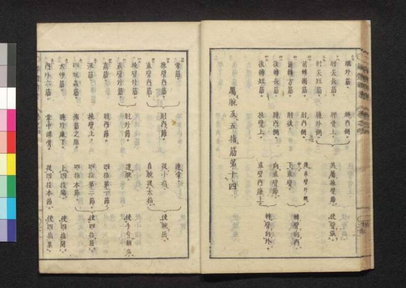 解体新書 - ページ 145