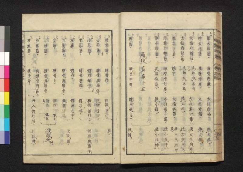 解体新書 - ページ 146