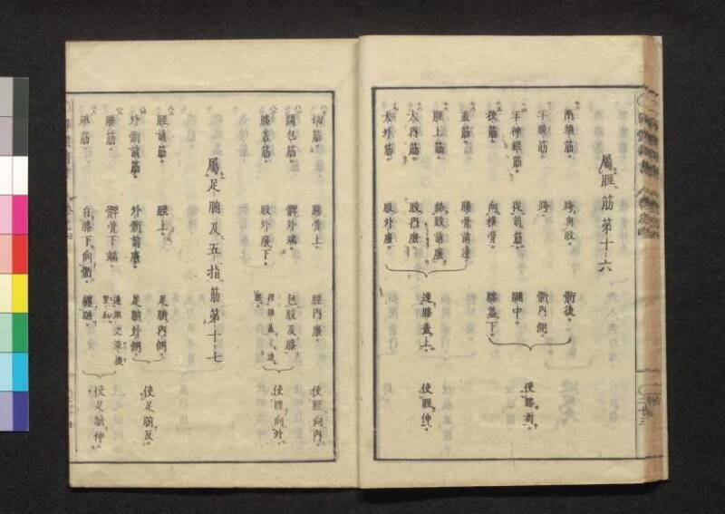 解体新書 - ページ 147
