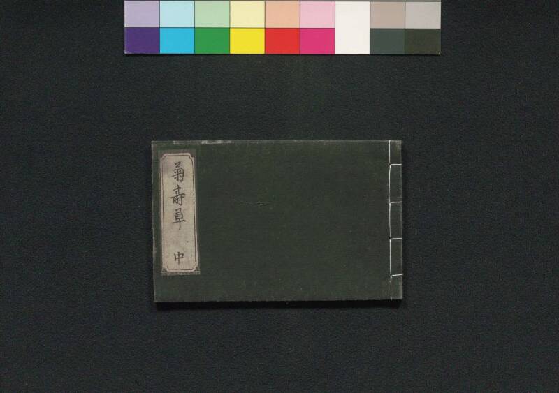 菊寿草 - ページ 19